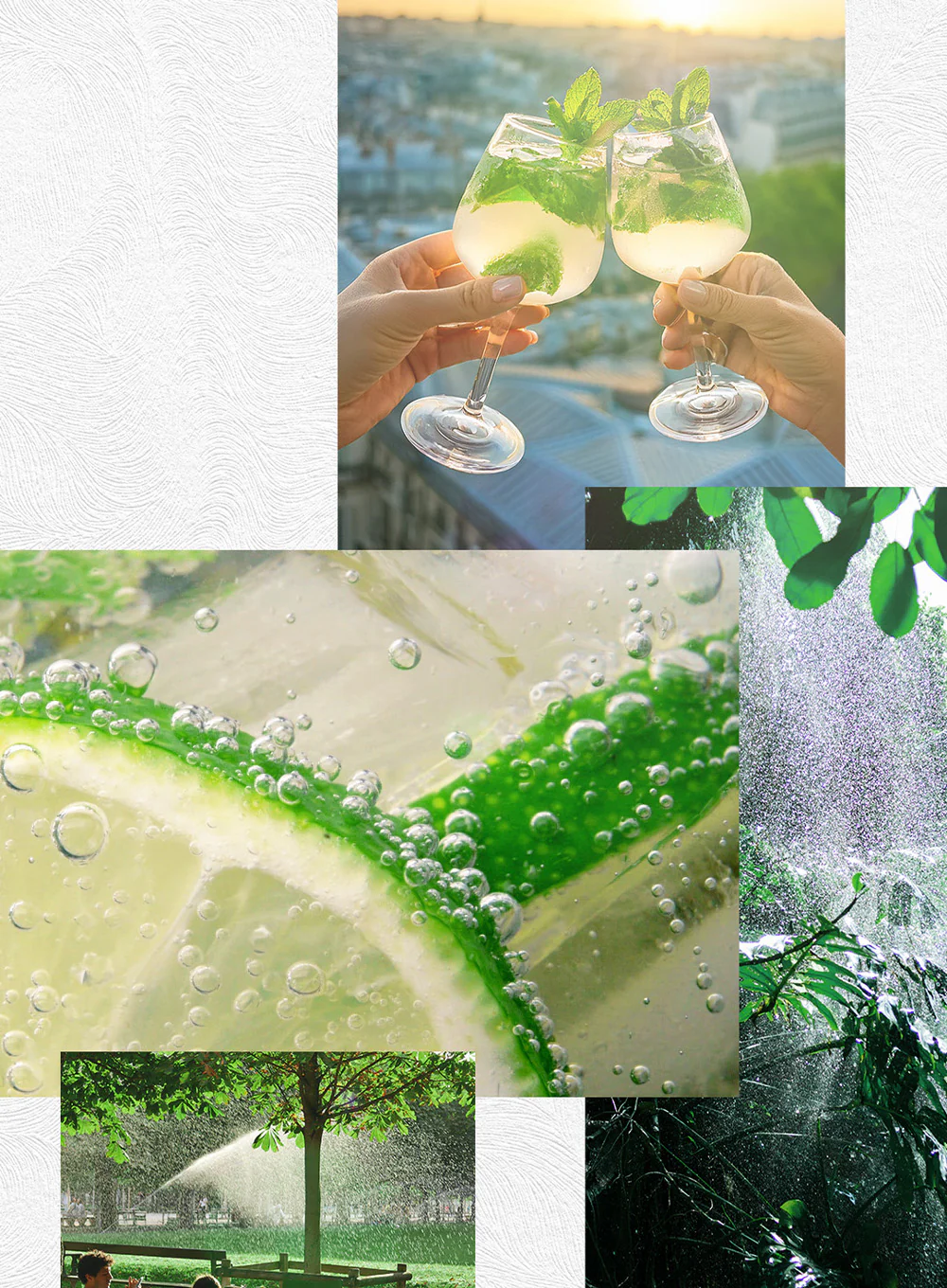 KIT MIST GREEN CRUSH - Image 4